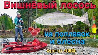 Вишнёвый лосось на поплавок и не только. (Cherry salmon)