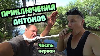 Приключения АНТОНОВ / Атака ПИЯВОК / Нашли БОЛВАНКУ