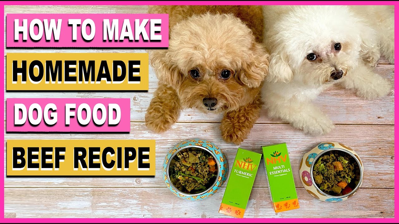 Healthy Dog Food Meal Prep: Homemade Dog Food for a Happy Pup - Creative in  My Kitchen