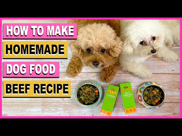 Homemade Dog Food Diy Beef Recipe Vet