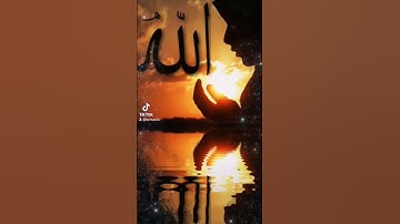 قرآن كريم 💜 حالات واتس اب تيك توك دينيه