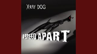 Video thumbnail of "X-Ray Dog - The Journey"