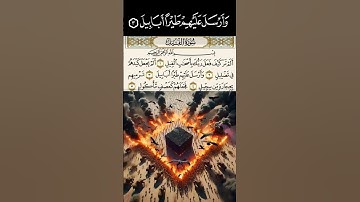#قرآن_كريم #سورة_الفيل بتلاوة خاشعة نادرة