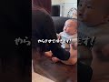 #姉弟#shorts