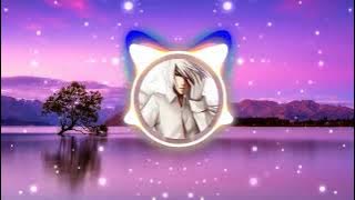 Main Tera Boyfriend Song(Bass Boosted)