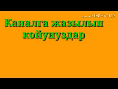 Журокто менин арманым