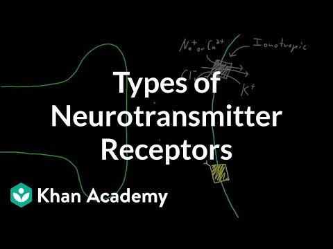 Video: Hva er forholdet mellom en reseptor og en nevrotransmitter?