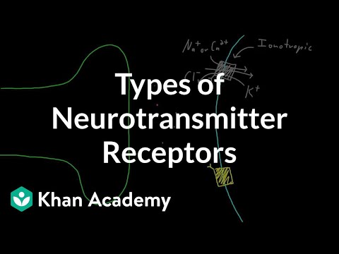 GABA \u0026 menschliches Verhalten | Neurotransmitter | Biosynthese | Aminosäuren