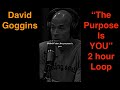 David Goggins - The Purpose Is YOU (2 hour Loop)
