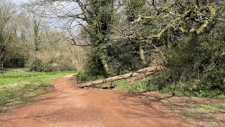 Torquay, Cockington Country Park in 4K HDR
