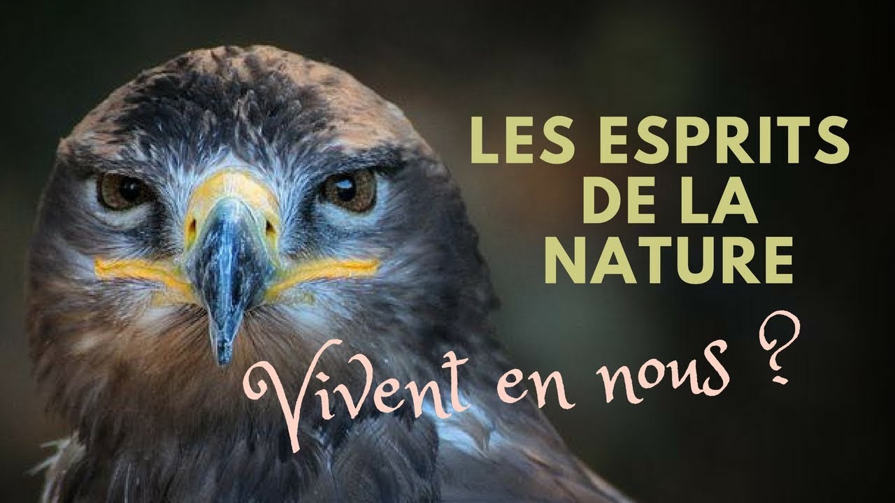 Comment les forces de la nature vivent à travers nous ? YouTube Comment les forces de la nature vivent à travers nous ? YouTube