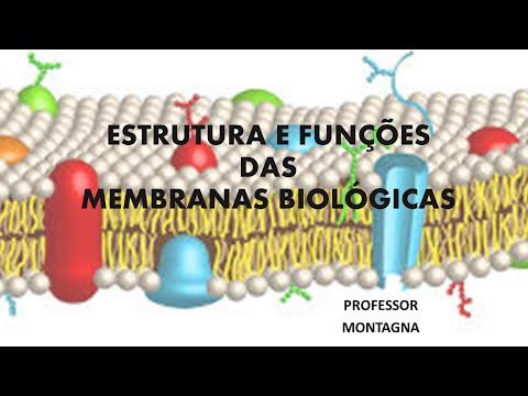 Vídeo: Membrana barreira de vapor: propriedades e características de aplicação