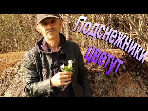 Подснежники цветут - Сергей Орлов