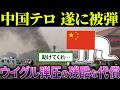 中国「ウイグル人は奴隷だ！」→結果、報復されてしまう…【海外の反応＆ゆっくり解説】
