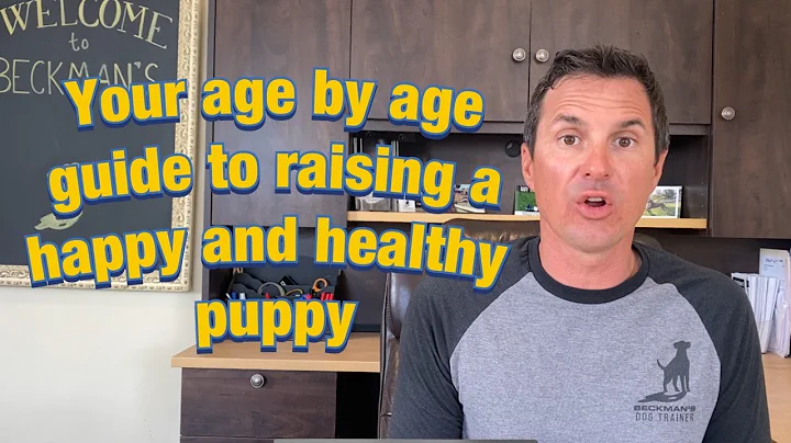 Age appropriateness is the key to raising a confid...