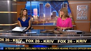 Famous Slithering surprise for one FOX 26 News anchor Wealth