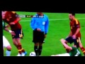 Referee knocks over Keith Andrews - Ireland v. Spain