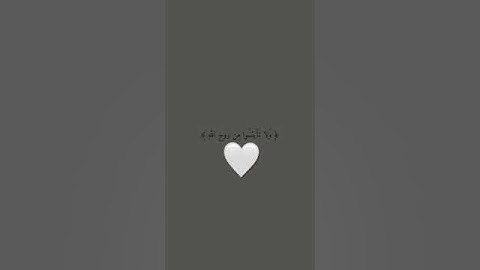 القارئ | علي عبدالسلام اليوسف .
