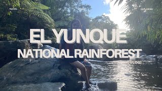 What Happens When You Explore Puerto Rico's Most Remote Jungle?