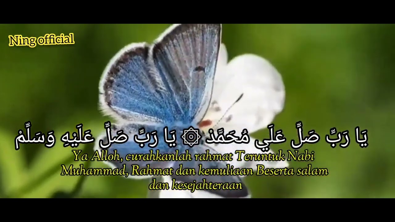 Sholi Rasmi sholawat ya Rabbi sholi ala Muhammad - YouTube