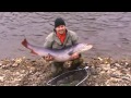 Taimen fishing russia