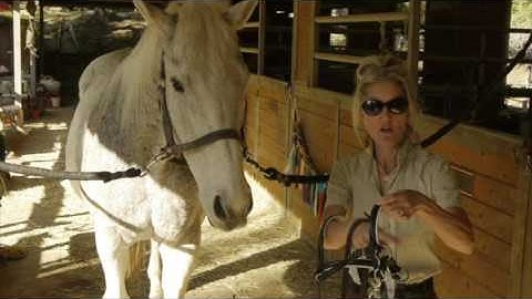 SUMMERWOOD SERIES - TACK ON TRIAL - THE LIGHTRIDER BITLESS BRIDLE