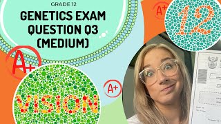 Genetics Exam PEDIGREE DIAGRAM Q3  (MEDIUM) | Get an A+ in EXAMS!