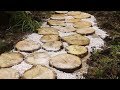 Cómo hacer un camino de jardín con círculos de madera - Bricomanía
