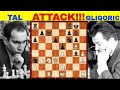 TRICKY NA, ATAKADOR PA! || Tal,Mihail - Gligoric,Svetozar || Candidates Tournament Bled 1959 #138