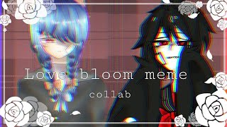 Love bloom meme [collab Loliking CH]