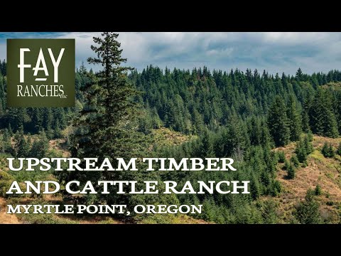 The Ultimate Pheasant Hunt, Lake Andes South Dakota