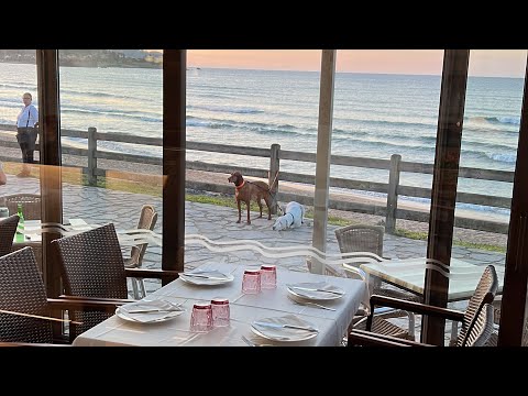 Restaurante Fitomar en la PLAYA de LA ESPASA - ASTURIAS!!