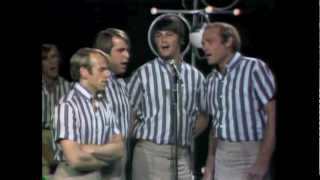 The Beach Boys - That's Why God Made The Radio (Fan Video) chords