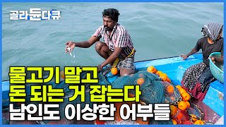 어획량 줄어들자 그물도 작살도 없이 6미터 바닷속 맨몸으로 풍덩┃이상한 어부들 물고기 말고 뭘 잡나 했더니┃남인도 어부들이 죽은 소라고둥을 잡는 이유┃인간과 바다┃#골라듄다큐