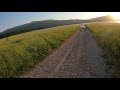 Sunset seeking in alpine wyoming