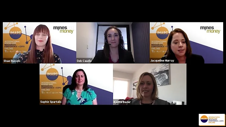 All-Star Finance and Investor Panel: Projects, Com...