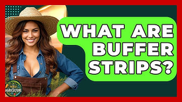 What Are Buffer Strips? - The World of Agriculture
