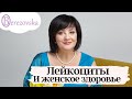 Лейкоциты и женское здоровье. Доктор Елена Березовская