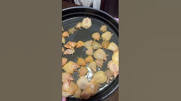 beautiful Chinese soft shell turtle ❤️#shorts #wildlifeandpets #reptiles #aquarium #turtle #tortoise