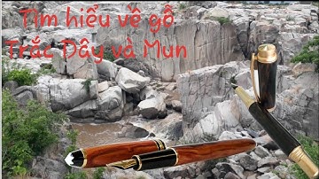 Tìm hiểu về gỗ Trắc Dây (Techicai wood), gỗ Mun (Ebony wood) và Thiên Nhiên Hoang Dã