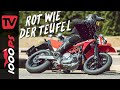 Supermoto 2022 - Wirklich Neu?! GASGAS ES 700 und SM 700 Test