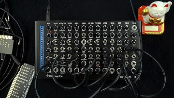 10 patches with the Pico System III