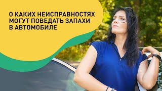 О каких неисправностях могут поведать запахи в автомобиле