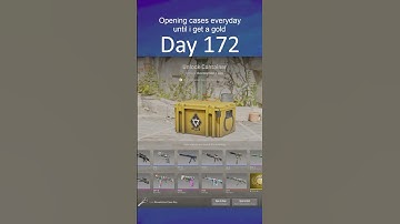 Opening Cases everyday until I unbox a gold | Day 172 #cs2 #caseopening