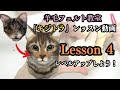 ④【キジトラ】レッスン動画　#羊毛フェルト　＃羊毛フェルト猫　＃羊毛フェルト犬　#羊毛フェルト講座　＃羊毛フェルト作り方　#リアル羊毛フェルト