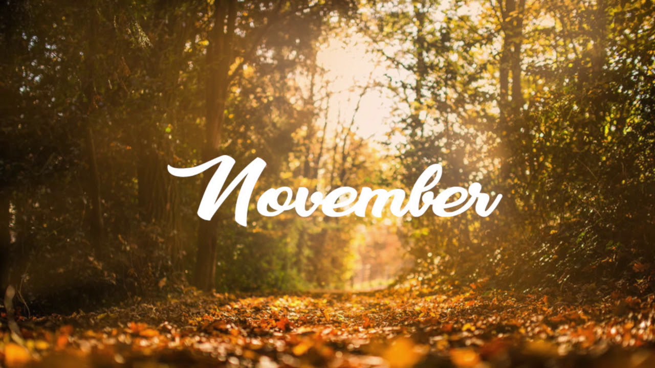 Watch SUPER CRUEL - November (feat. Lisa Mitchell) on YouTube Watch SUPER CRUEL - November (feat. Lisa Mitchell) on YouTube