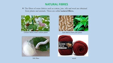 Class VI Science Topic : chapter 3,fibre to fabric, revision class