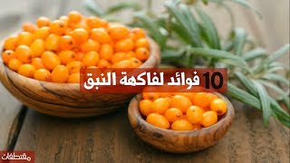 10 فوائد لفاكهة النبق مقتطفات Youtube