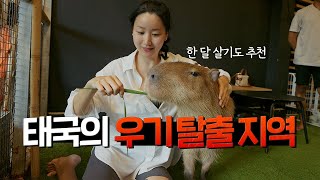 7-8월 여름휴가, 태국이 우기라 놀라셨죠. 이 지역은 예외입니다 [태국 73]