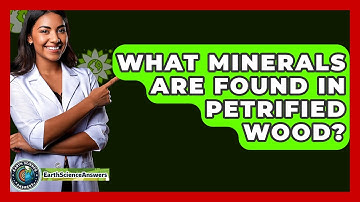 What Minerals Are Found In Petrified Wood? - Earth Science Answers